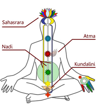 Kundalini the Energy Within