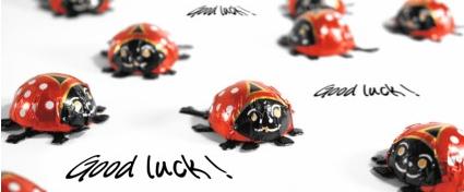 ladybug-good-luck
